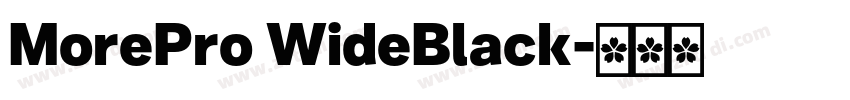 MorePro WideBlack字体转换